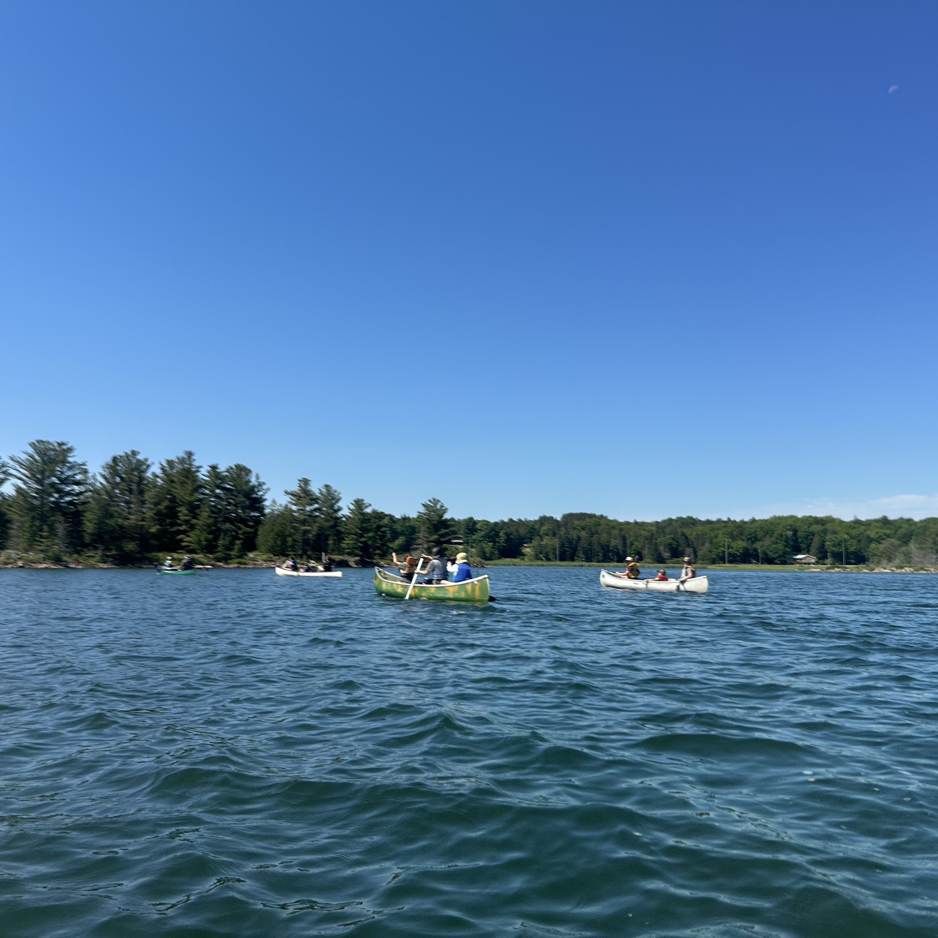 Guided Paddle to Caribou Lake - logo
